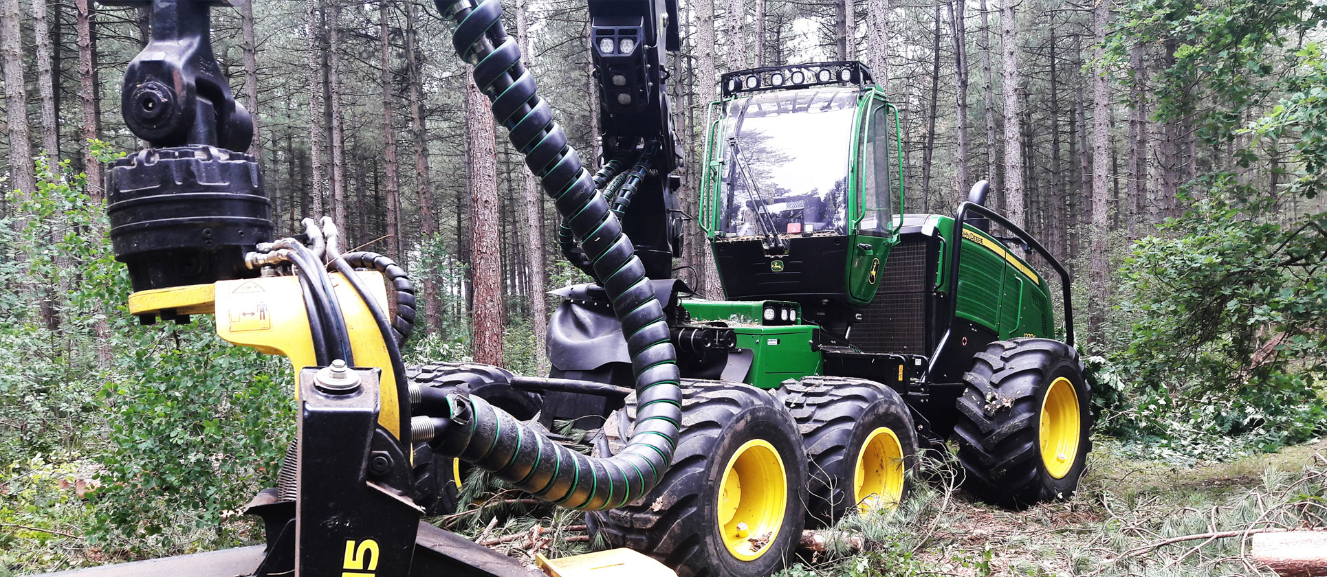 forestry-hencon